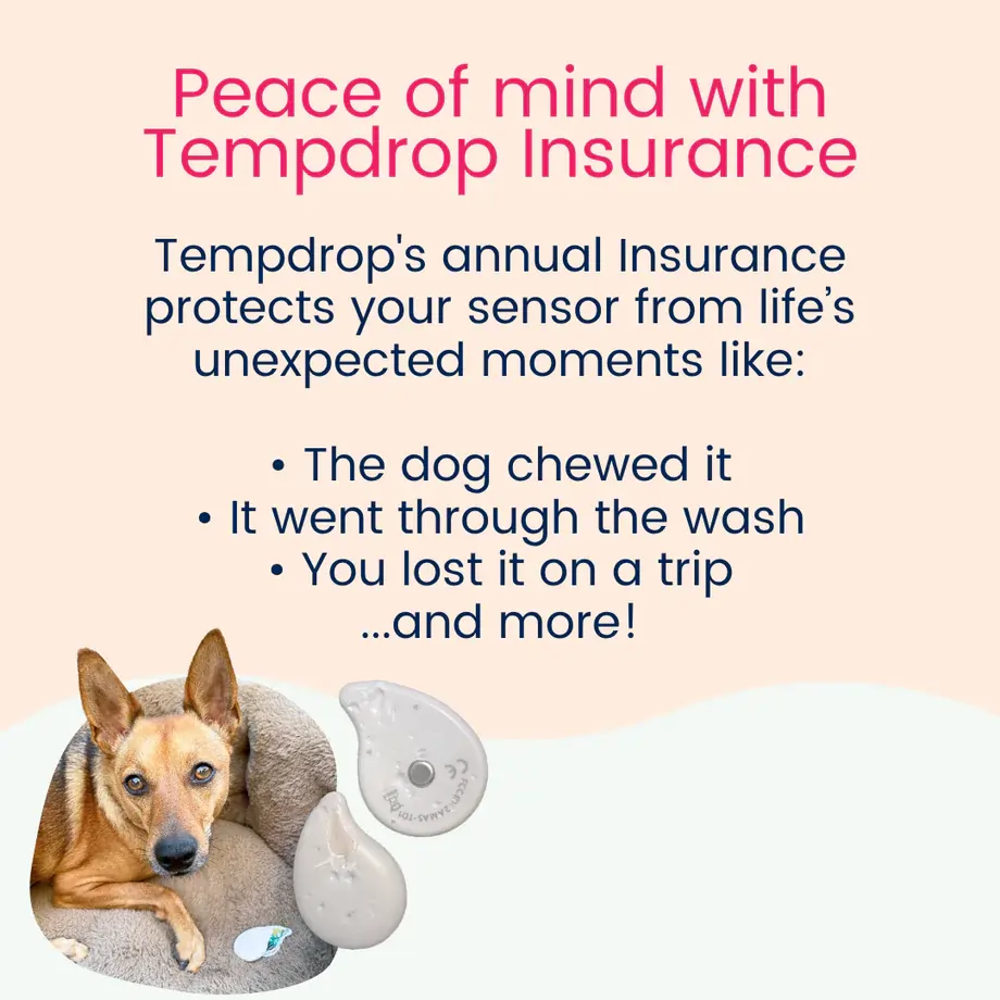What Tempdrop Insurance has to offer