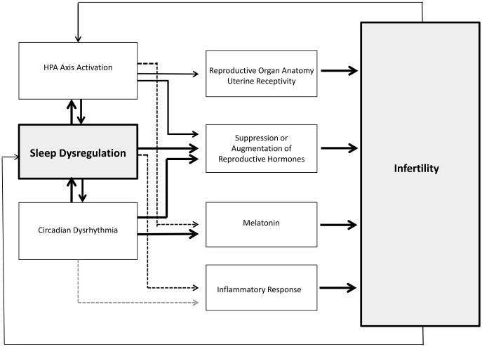 potential reasons for infertility nihms